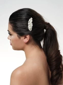 Poirier BB-276 Haarkam