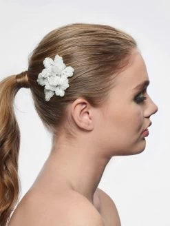 Poirier BB-249 Haarkam