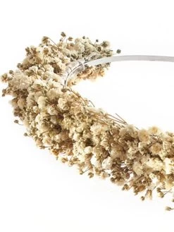 Poirier BB-622 Bloemen Diadeem -Droom Trouwjurk poirier bb 622 tiara 4