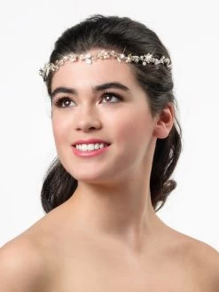 Poirier BB-8581 Haarstreng Zilver/Goud