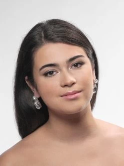 Poirier NC-1339 Oorbellen Zilver